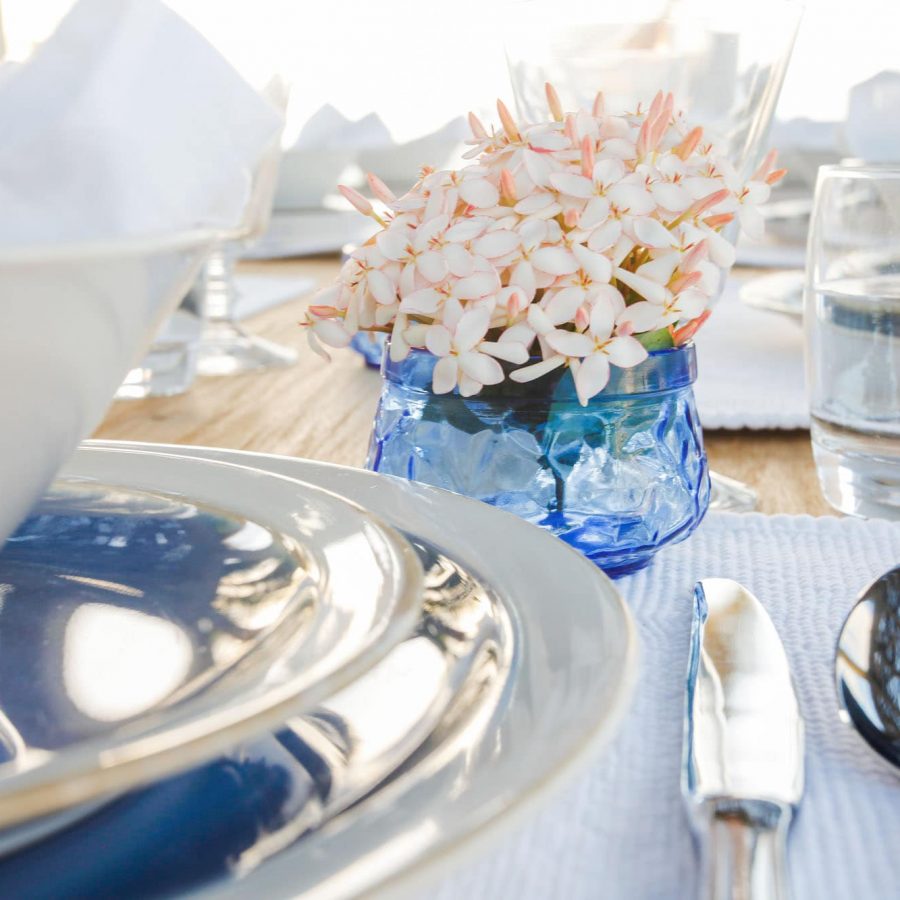 Gallery Top Paw Resort